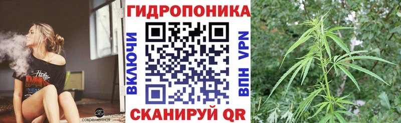 Гашиш Северская