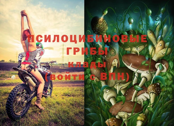 соль курить ск Алзамай